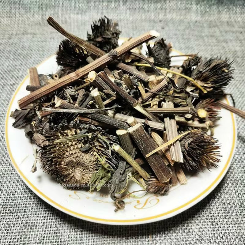 Echinacea