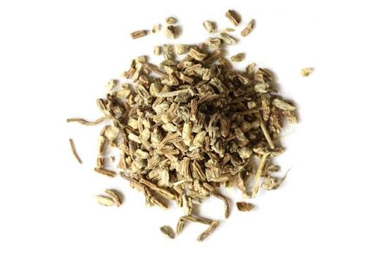 Echinacea