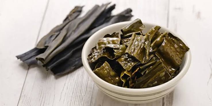 Kelp